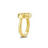 RichandRare-ANCIENT-ANCIENT PINKY RING